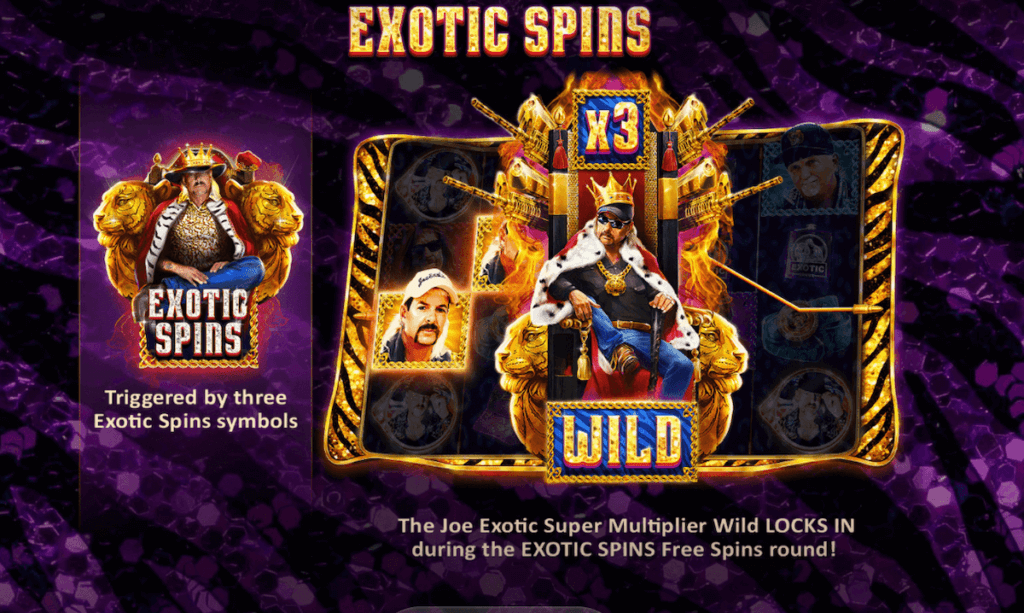 Exotic Spins