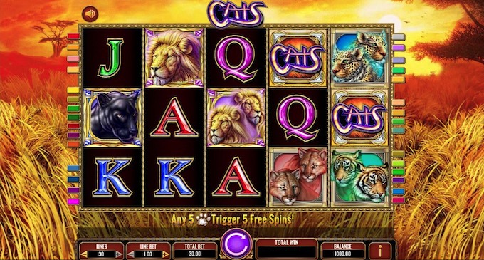 Cats Slot Game