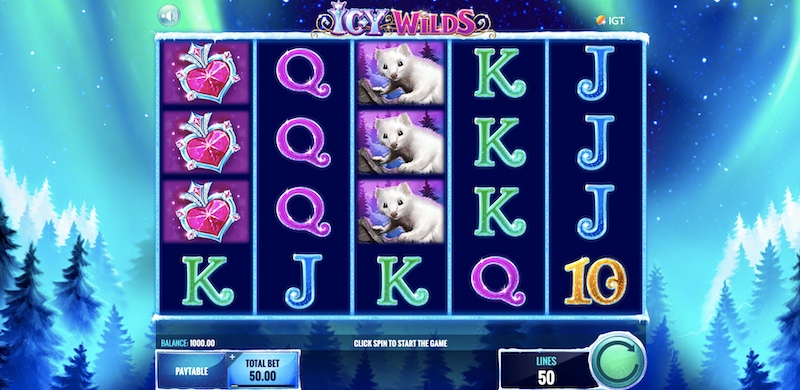 Gameplay Icy Wilds 1