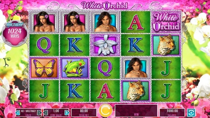 White Orchid Slot 